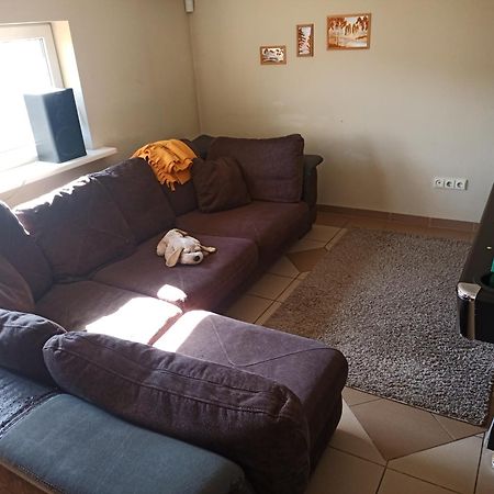 דירות Vilnius Cat Friendly מראה חיצוני תמונה